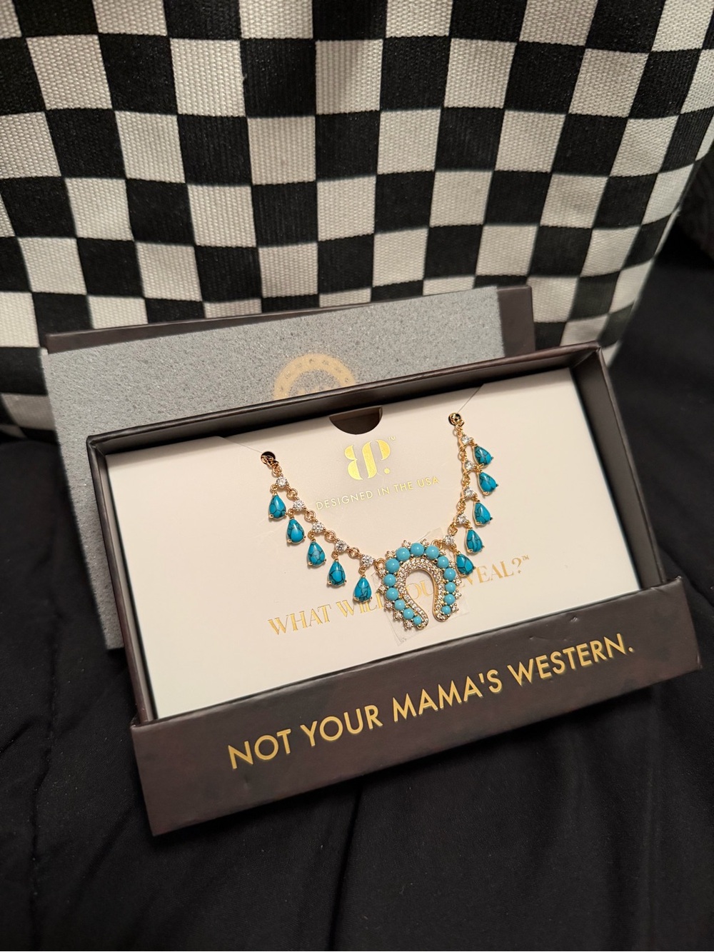 Outlaw horseshoe Necklace 🩵✨